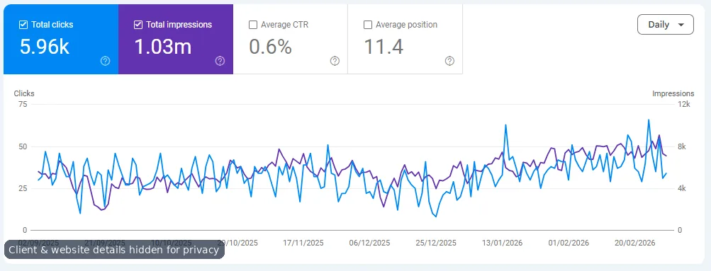 Anonymized query and page visibility screenshot