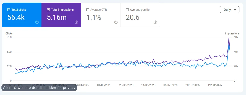 Anonymized SEO performance overview screenshot